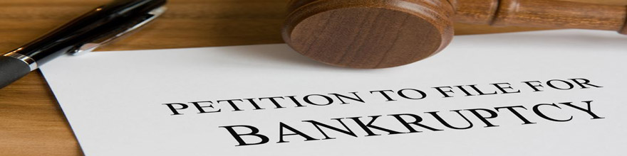Bankruptcy Petition